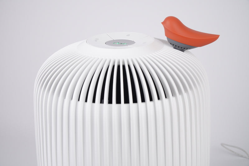 How Does A Clean Home Air Purifier Work?